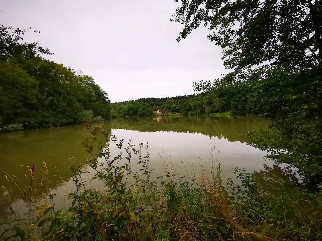 De Murard de Saint Romain Henri - photo 2