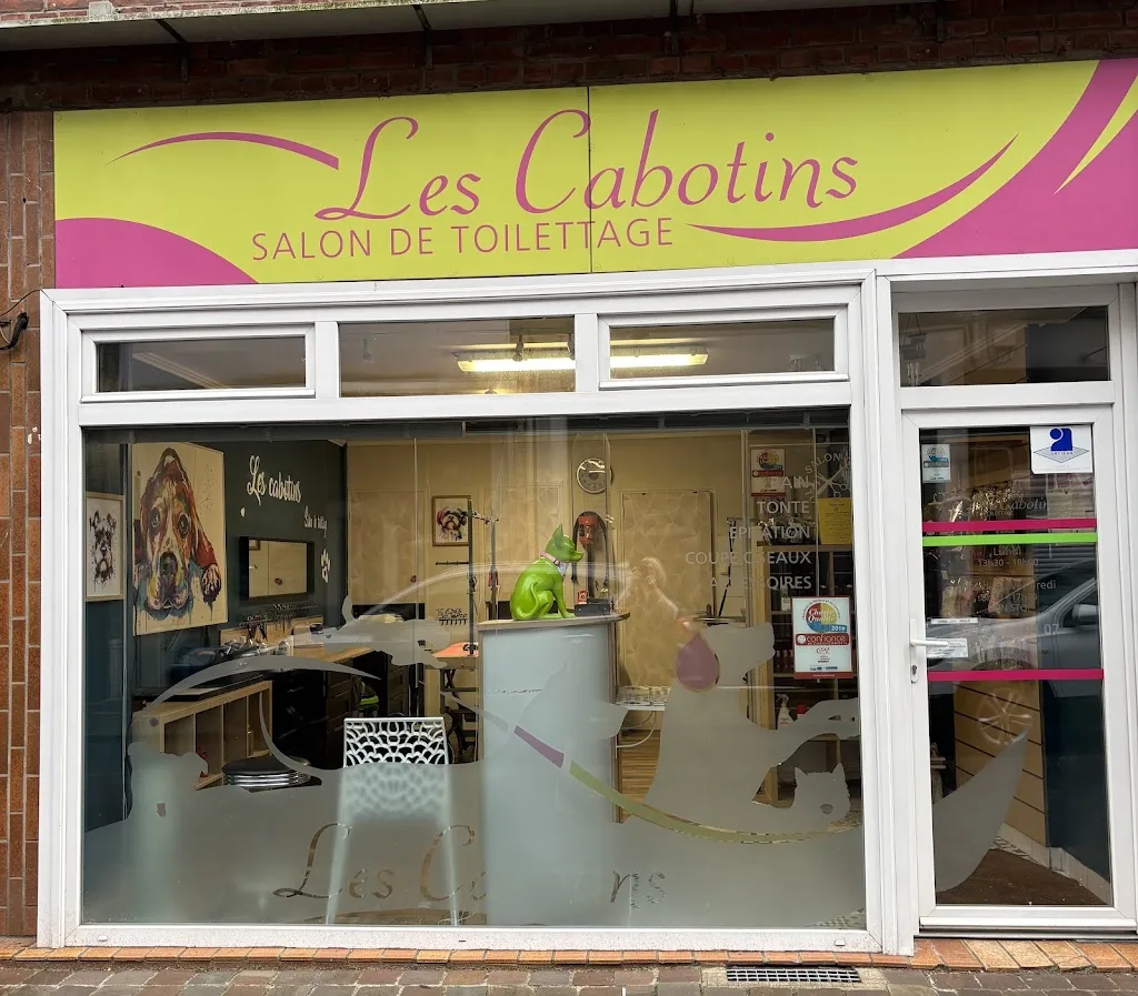 Les Cabotins - photo 3