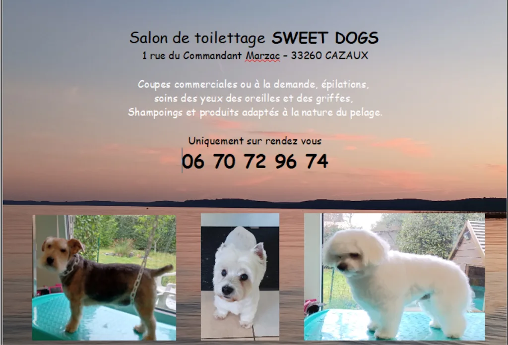 Sweet Dogs Cazaux Salon de Toilettage - photo 2