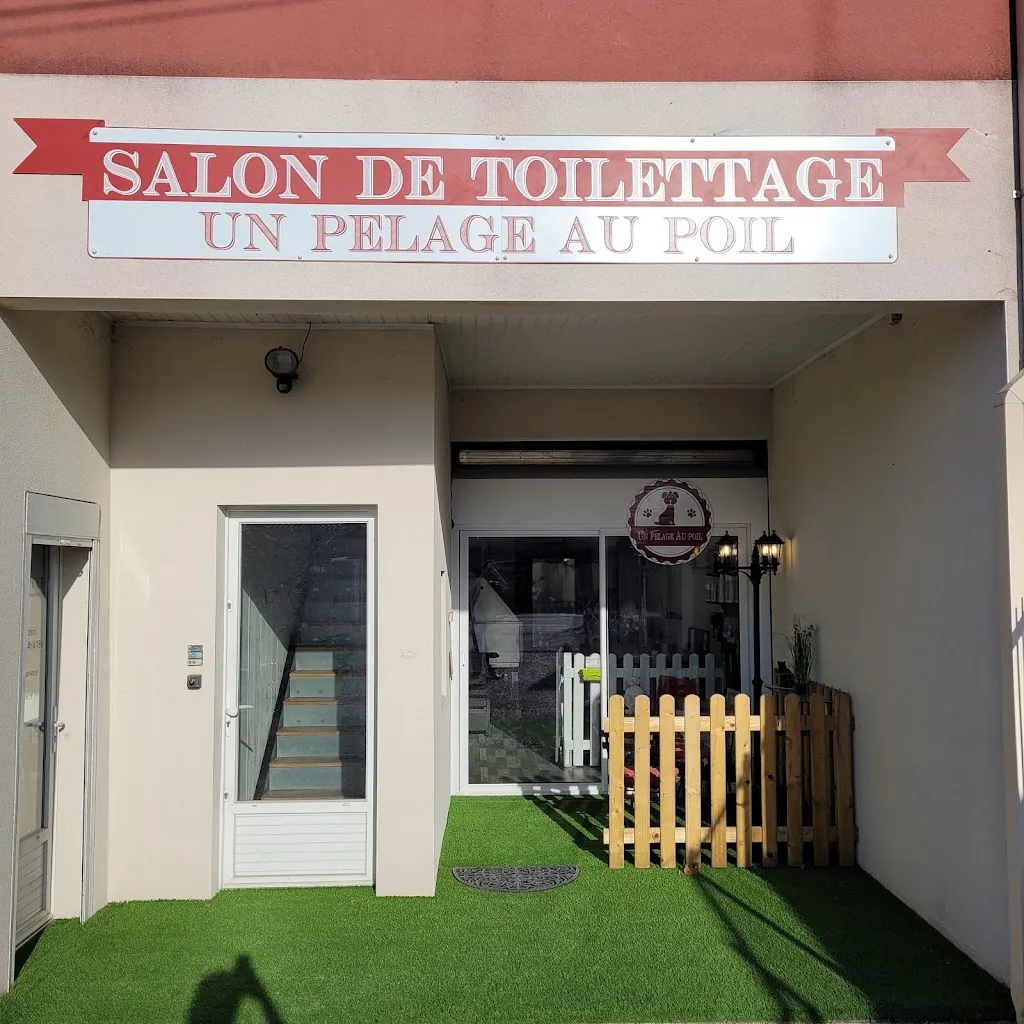 Salon de toilettage - Un Pelage Au Poil - photo 3