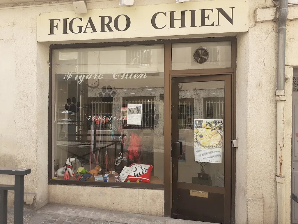 Figaro Chien - photo 1