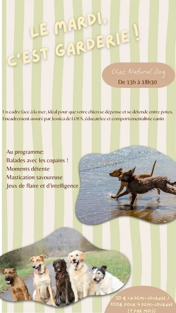 Natural dog, Artisan toiletteur canin & félin - photo 2