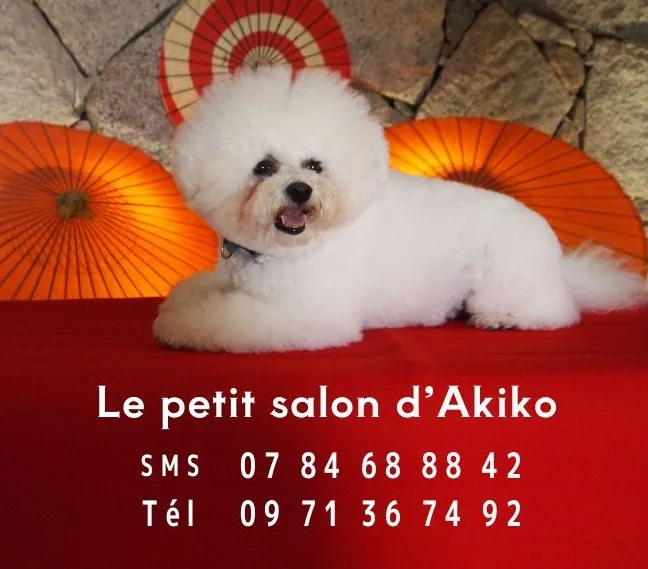 Le petit salon d'Akiko - photo 2