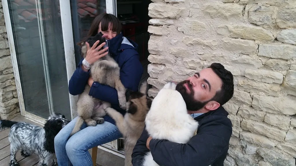 Village Canin du Grand L'ilot - photo 2