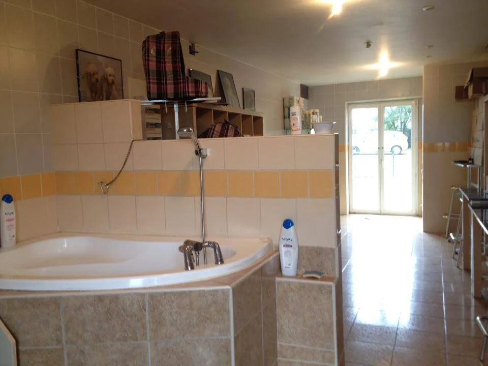 CANI' COIFF, salon de toilettage canin - photo 1