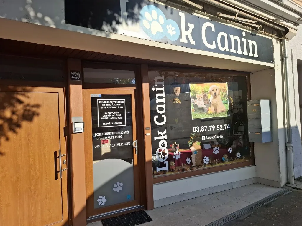 Look canin - photo 2