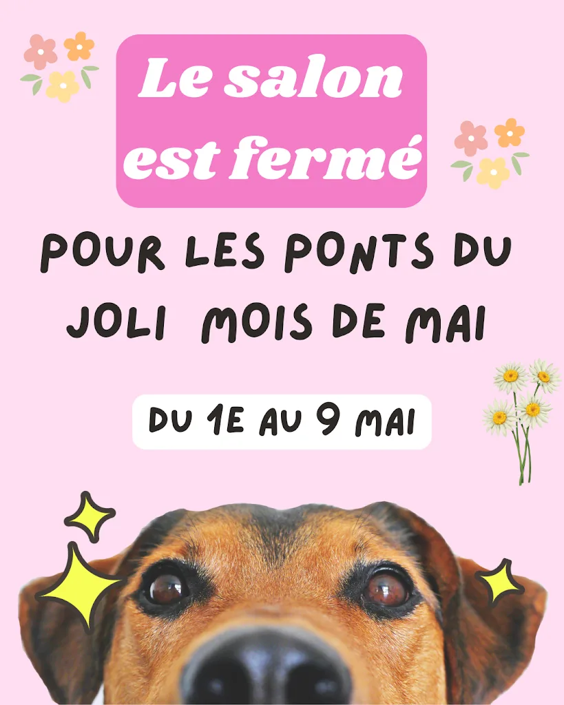 Beau Ti Chien - photo 1
