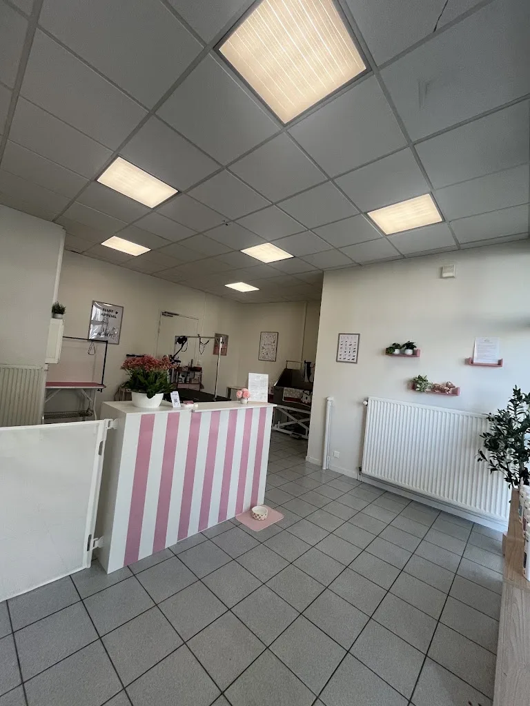 Belora Toilettage - photo 2