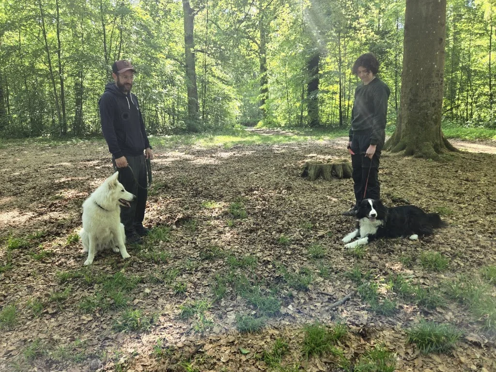 BON CHEF BONCHIEN - photo 1