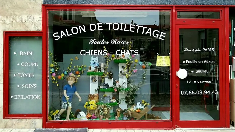 Paris Christophe - Toilettage Canin - photo 2