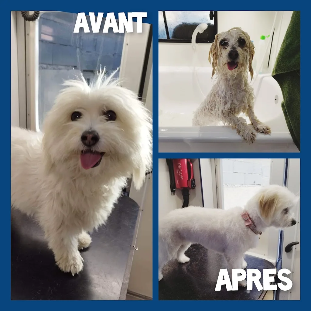 Tous à poil - photo 3