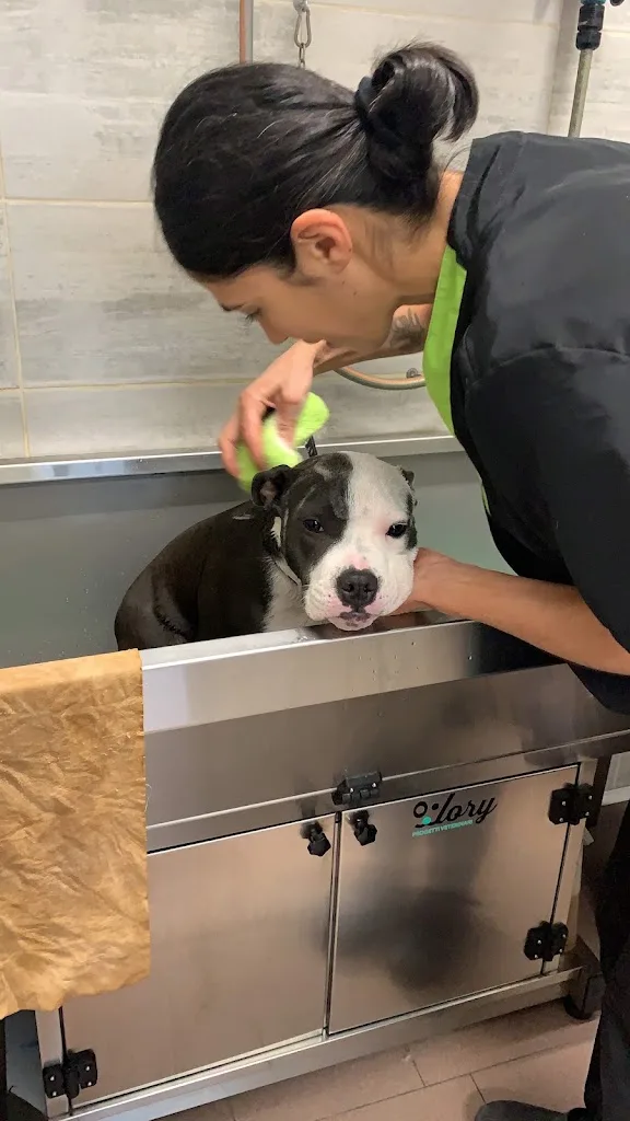 Laura's PetLand - photo 1