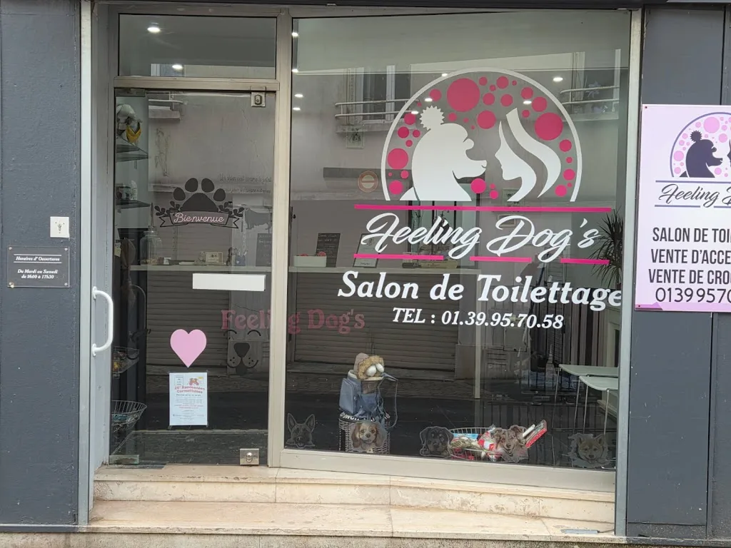 Feeling Dog's - Salon de toilettage Cormeilles-en-Parisis - photo 1