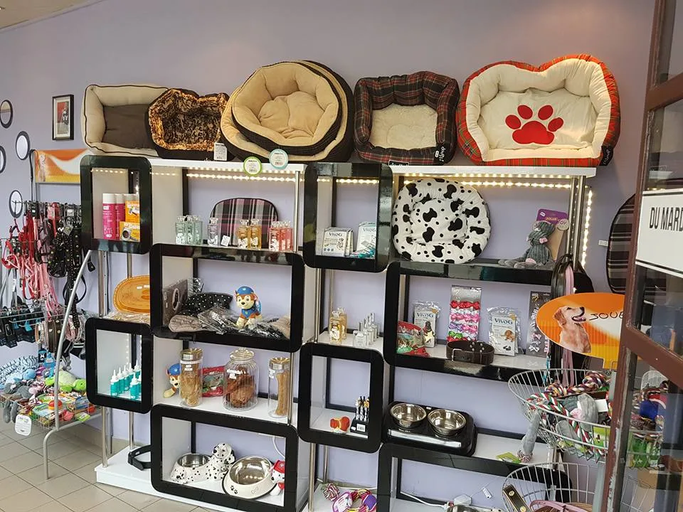 Feeling Dog's - Salon de toilettage Cormeilles-en-Parisis - photo 2