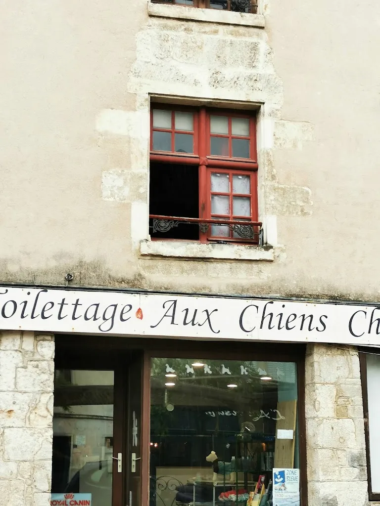Salon de toilettage Aux chiens chics - photo 3
