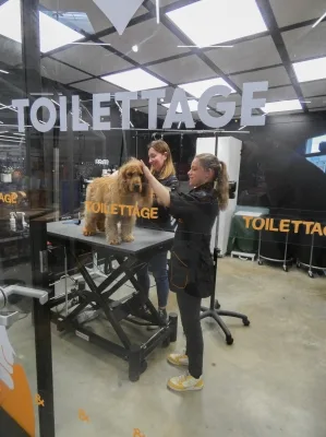 Tom & Beauty Lanester - photo 2