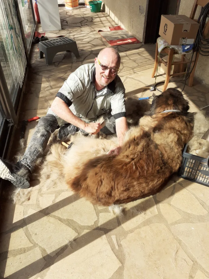 Mystic & Whisper (Mystic Dog center) - photo 1