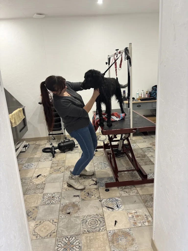 L'atelier des poilus - photo 3