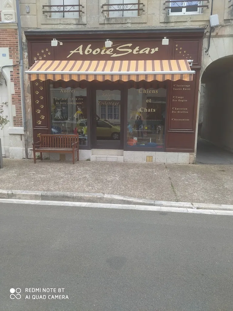 ABOIE STAR - photo 3