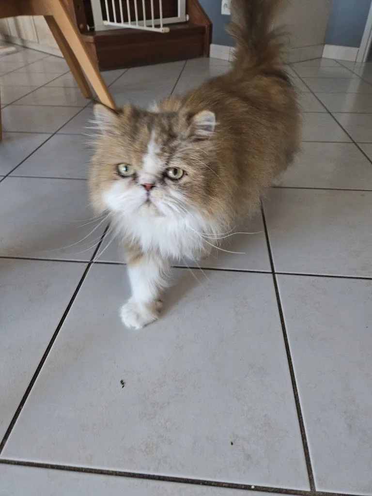 Kiki et Grominet - photo 3
