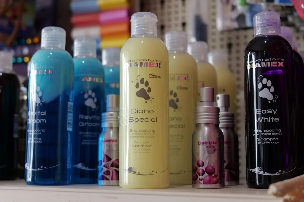 DogBarber - photo 2