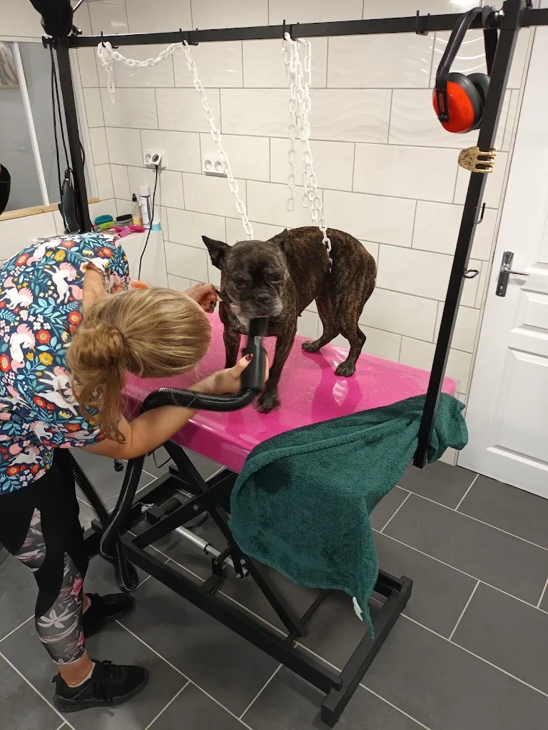 Toiletteur Animaux'topia Ruelle-sur-tourve - photo 1