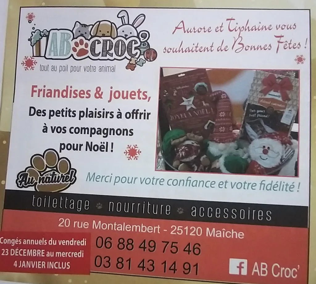 AB Croc' - photo 3
