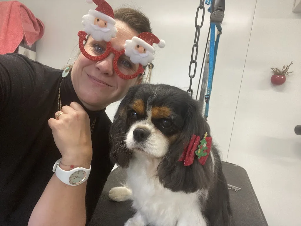 Fashion Dog - photo 2