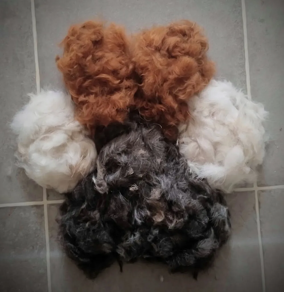 E. Köhl Hundesalon - photo 3
