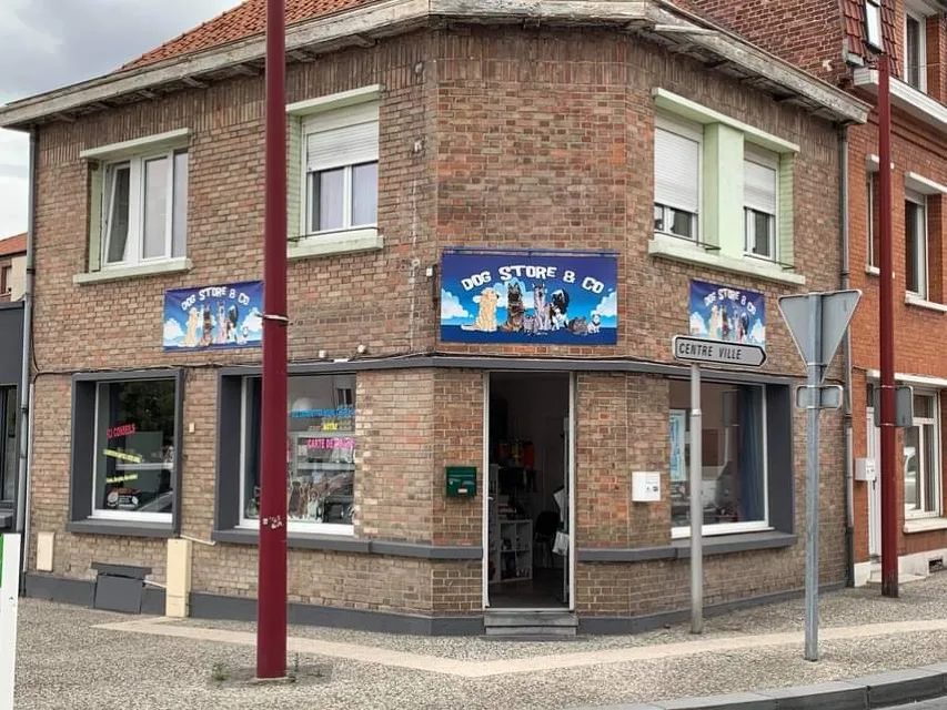 Dog's Store - photo 3