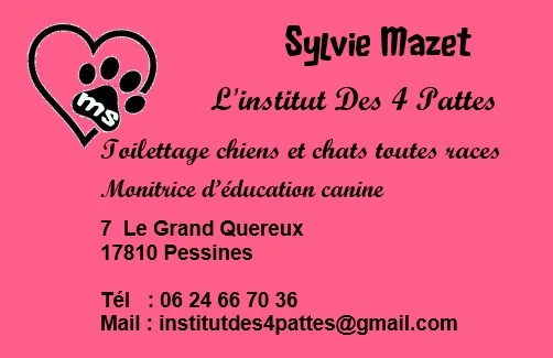 L'Institut des 4 Pattes - photo 3