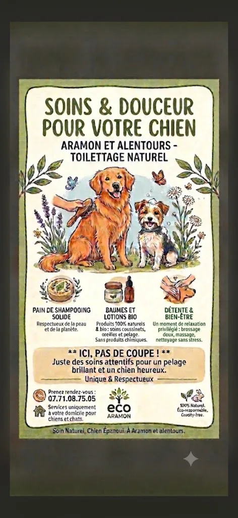 La bande à Youry - photo 2
