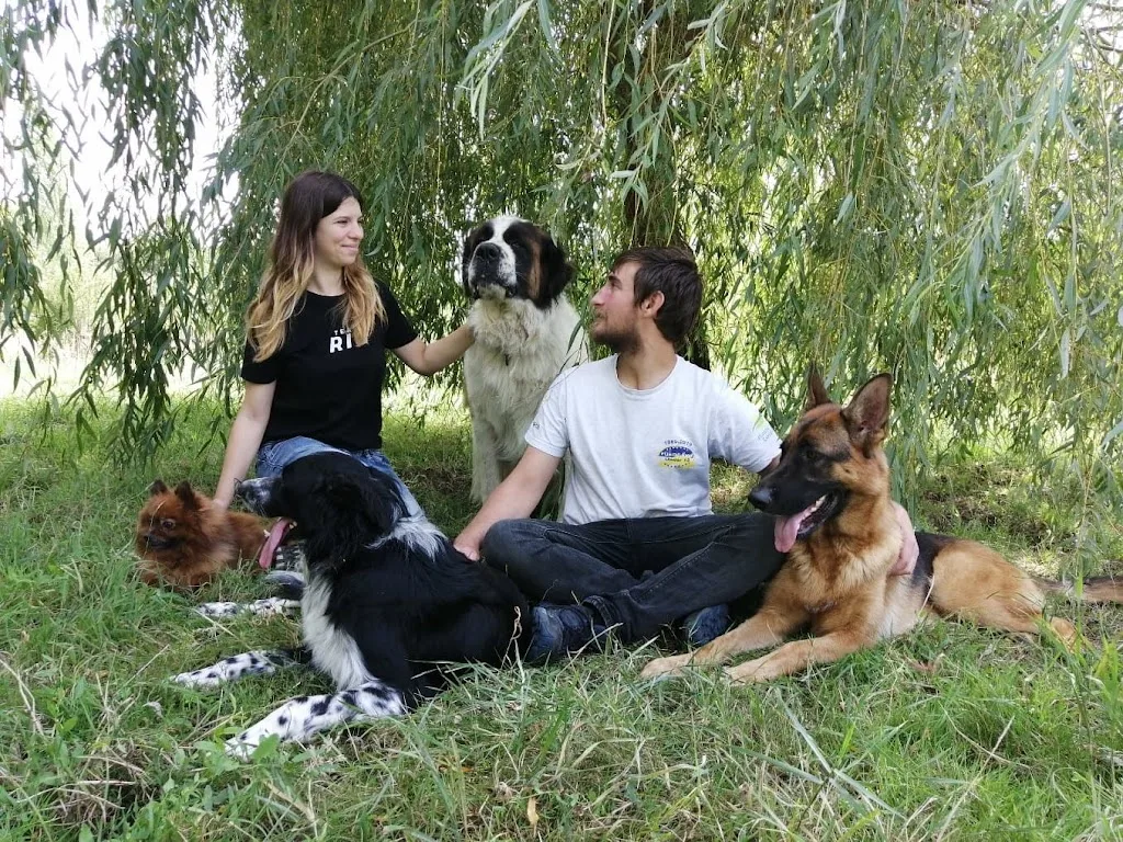 Animal Assistance - photo 3