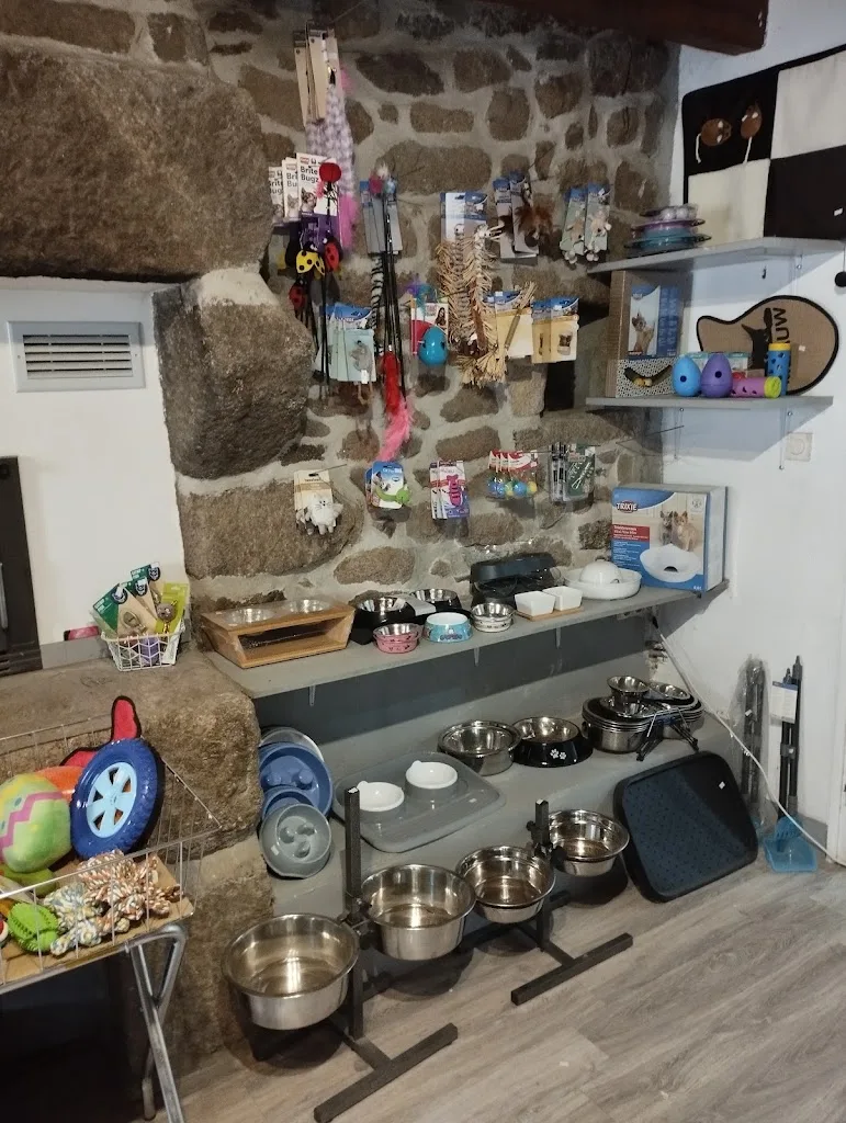 Le domaine de kerdusval animalerie et pension pour chiens et chats - photo 1