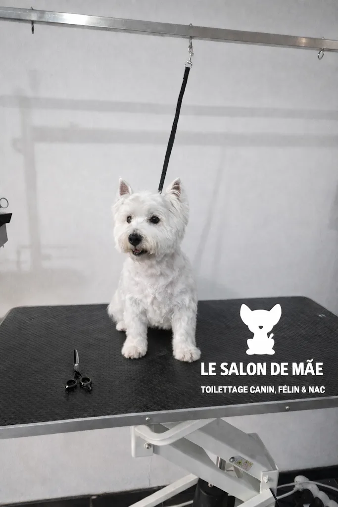 Le Salon de Mãe - photo 2
