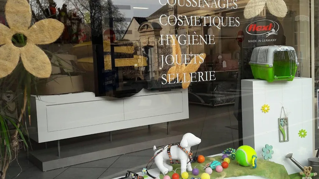 Pil' Poils Salon De Toilettage - photo 1