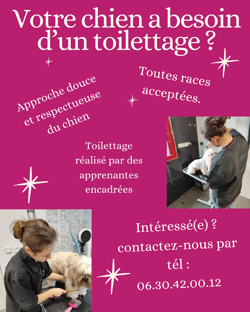 CANI-FORM - photo 1