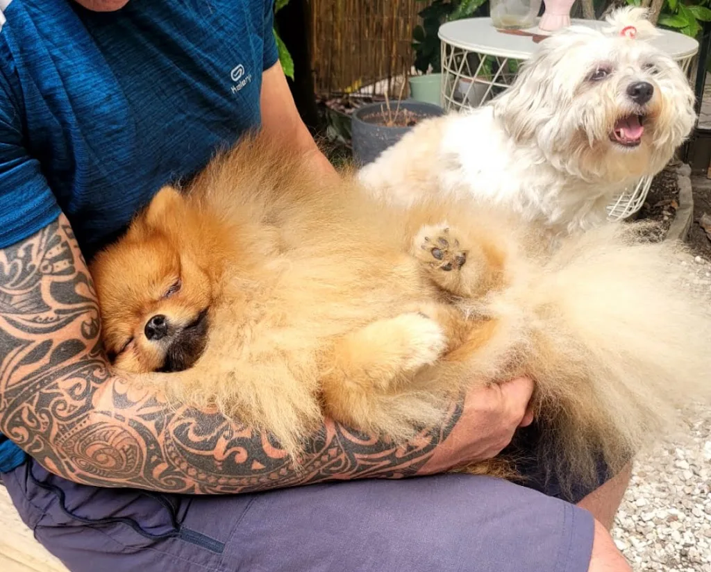 Pet Cheri - photo 3