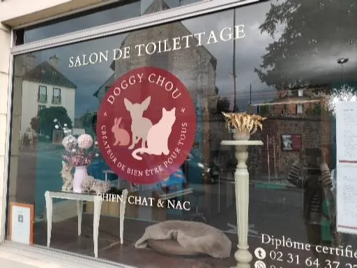 Salon De Toilettage - photo 2