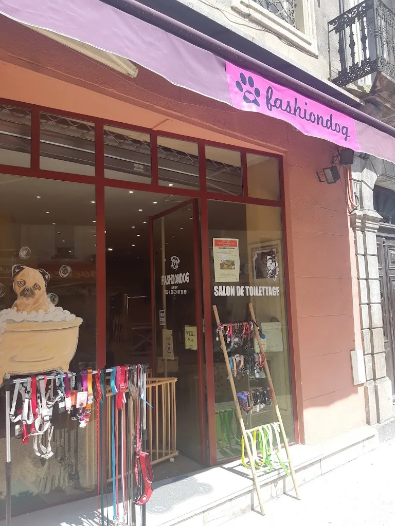 fashiondog - photo 1