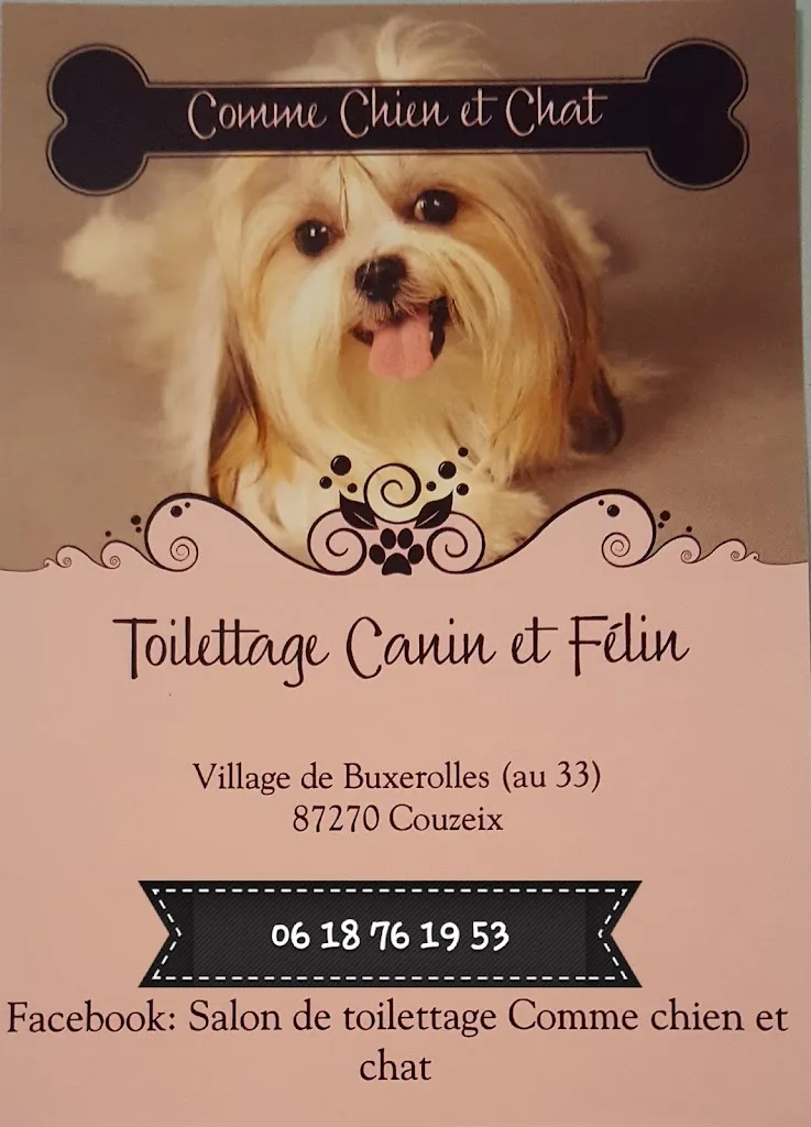 Comme Chien Et Chat - photo 1