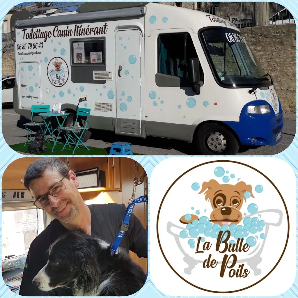 Bulle de poils - photo 2