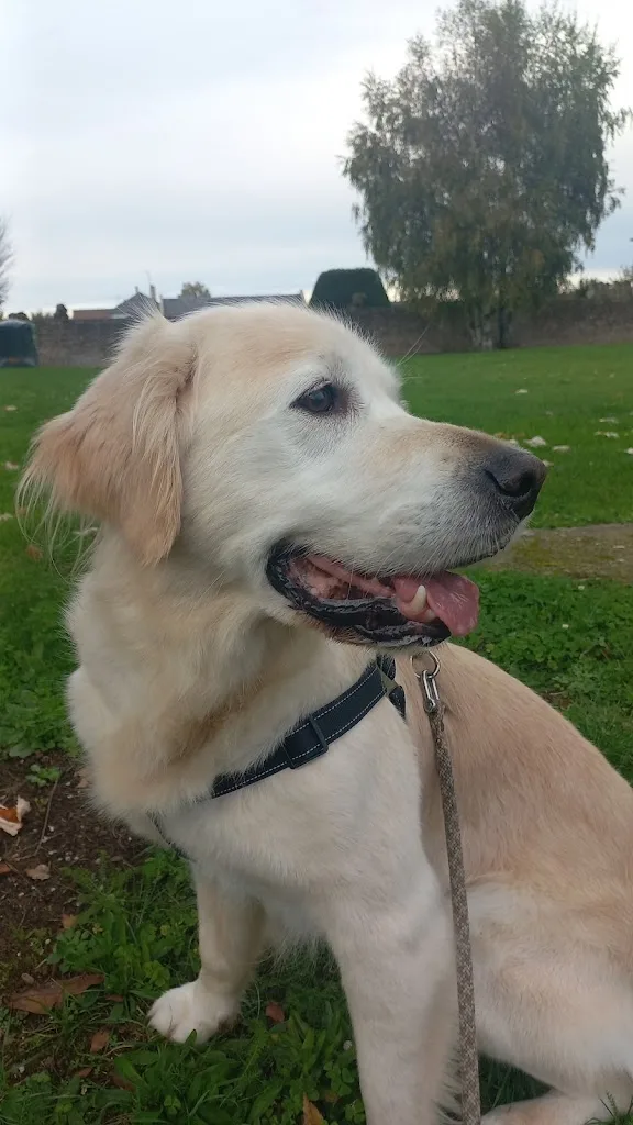 Poil de bonheur - photo 3
