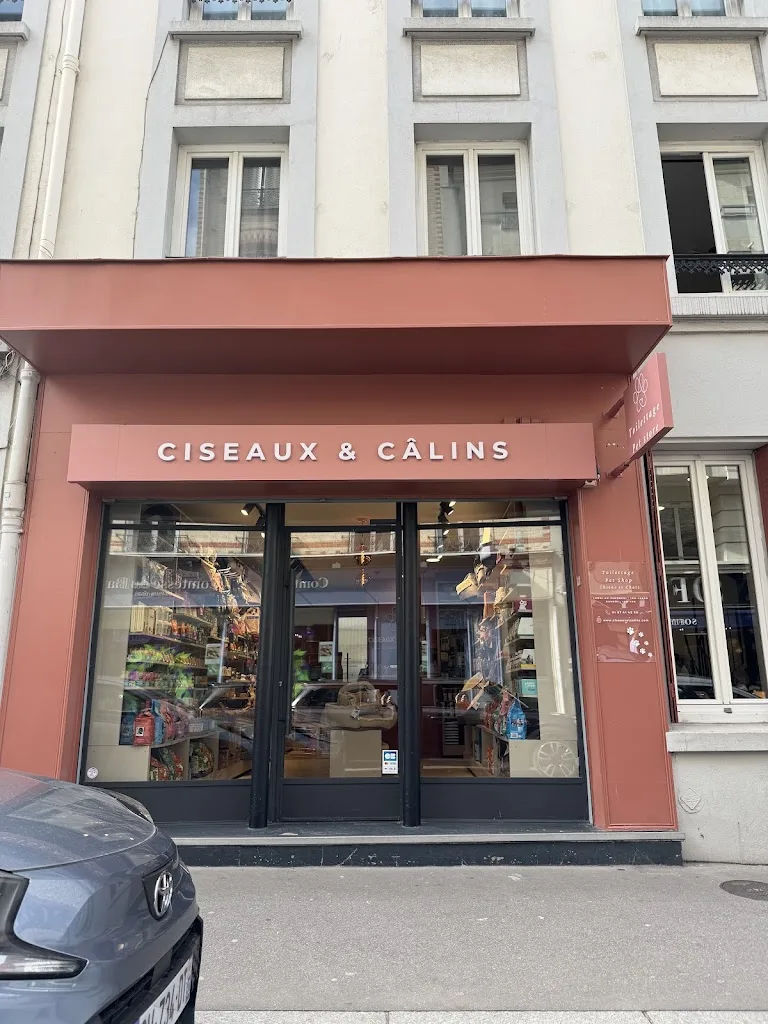 Ciseaux et Câlins - photo 1