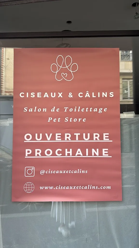 Ciseaux et Câlins - photo 2