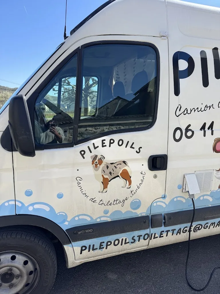 PilePoils - Camion de toilettage à Villers-sur-Fère - photo 2
