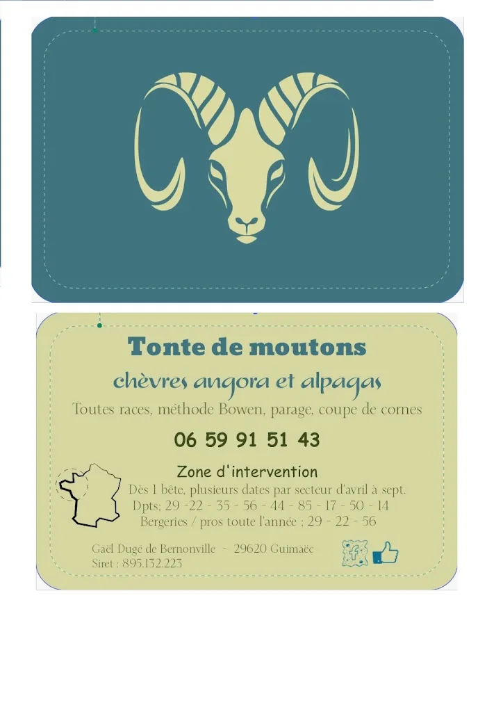 Gaël tondeur de mouton - photo 2