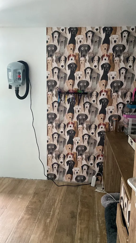 toilettage canin Chez Reglisse - photo 2