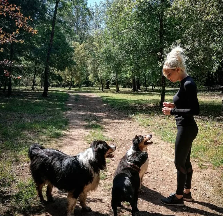 Dog Garden: Garderie Canine & Education 06 Antibes Vallauris Sophia Antipolis - photo 2