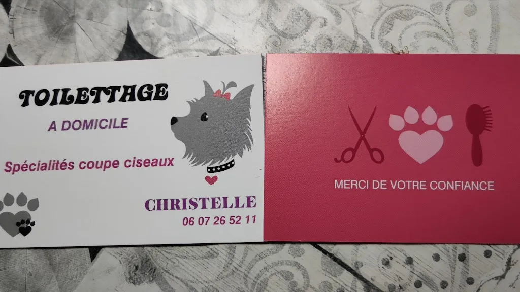 Salon de toilettage Alix et compagnie - photo 2